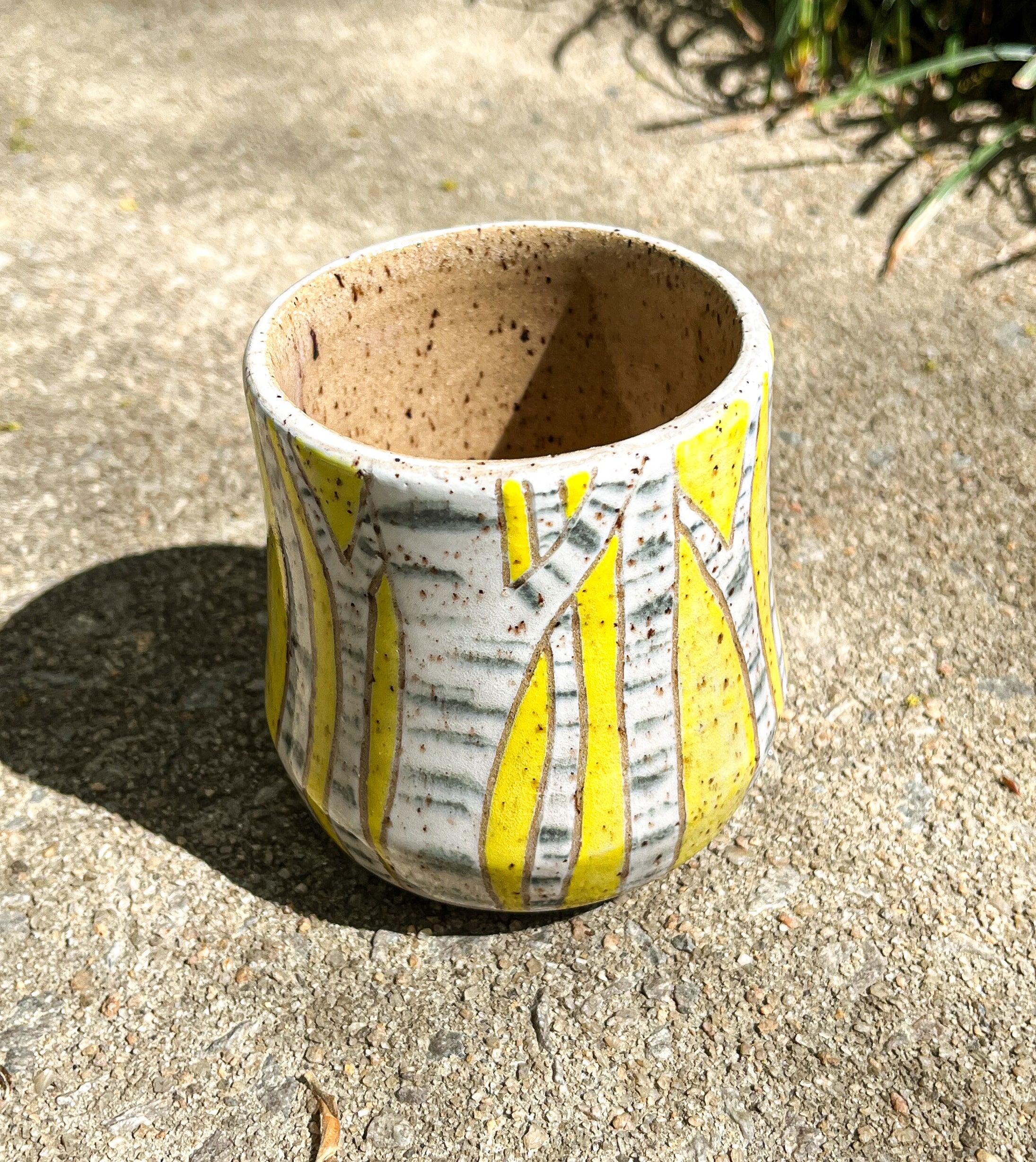 Birch Grove Tumbler