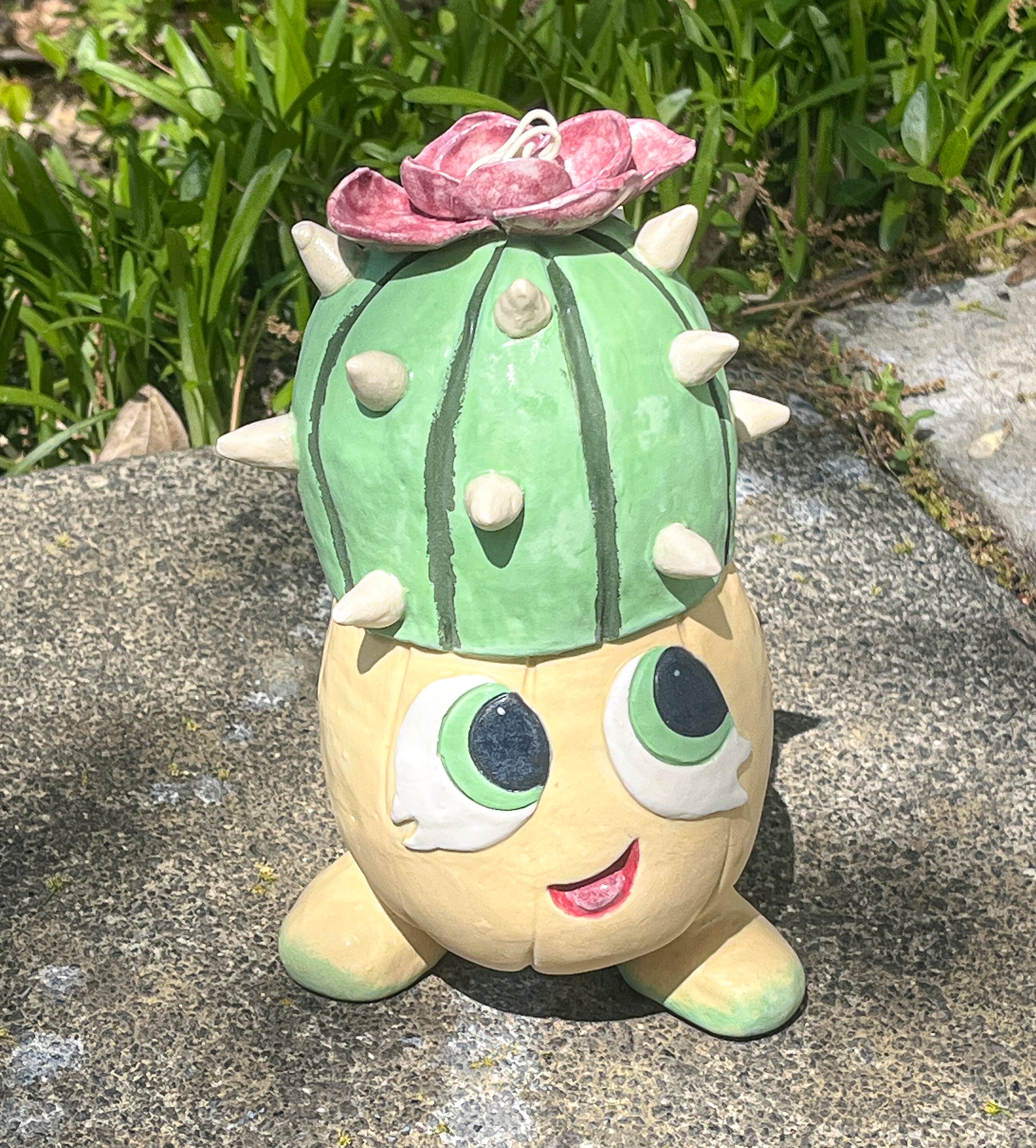 Sprouting: Domino Cactus