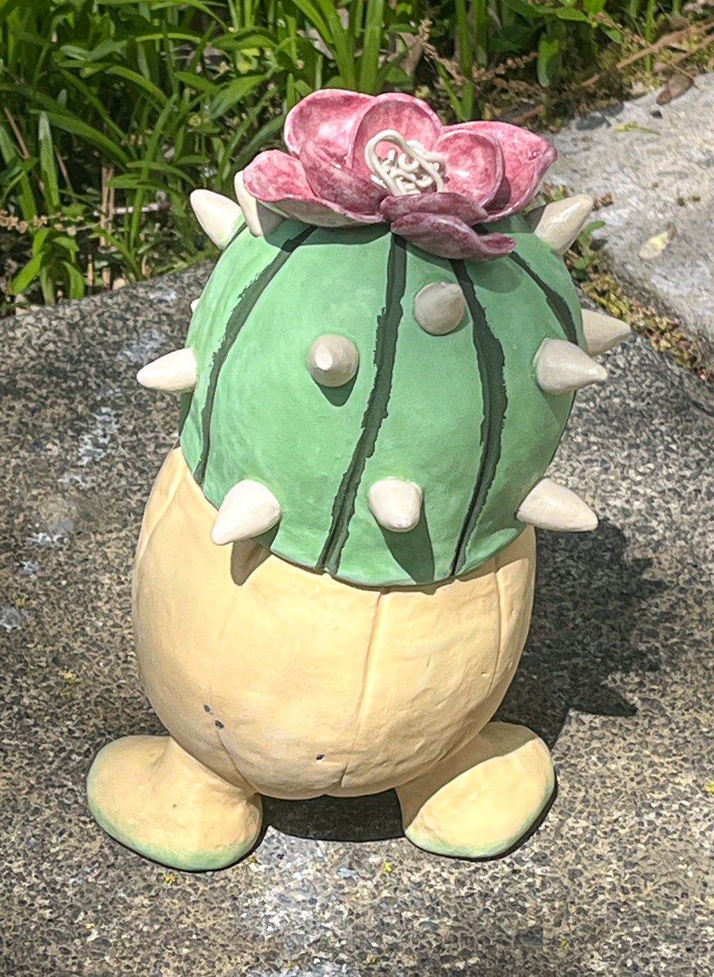 Sprouting: Domino Cactus